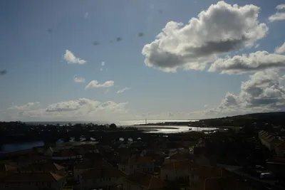 DSC_7250 (Large).JPG